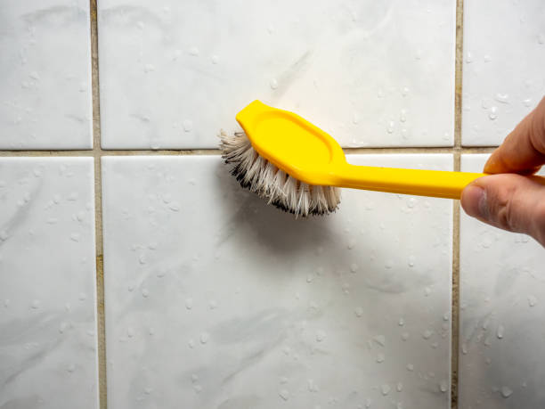 Best Mold Removal Near Me  in Caledonia, MI