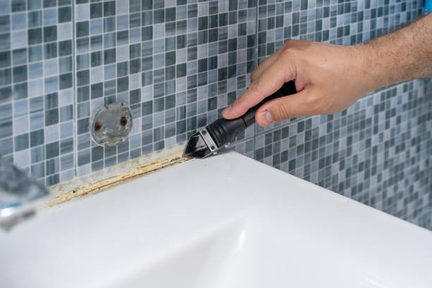 Best Office Mold Removal Services  in Caledonia, MI